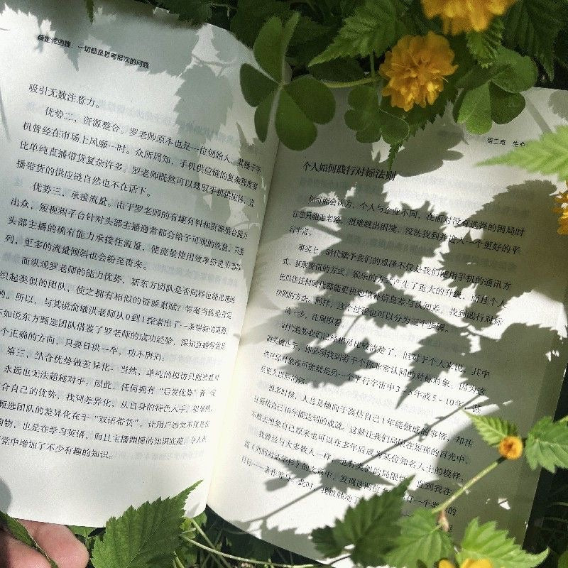 薛定谔的猫