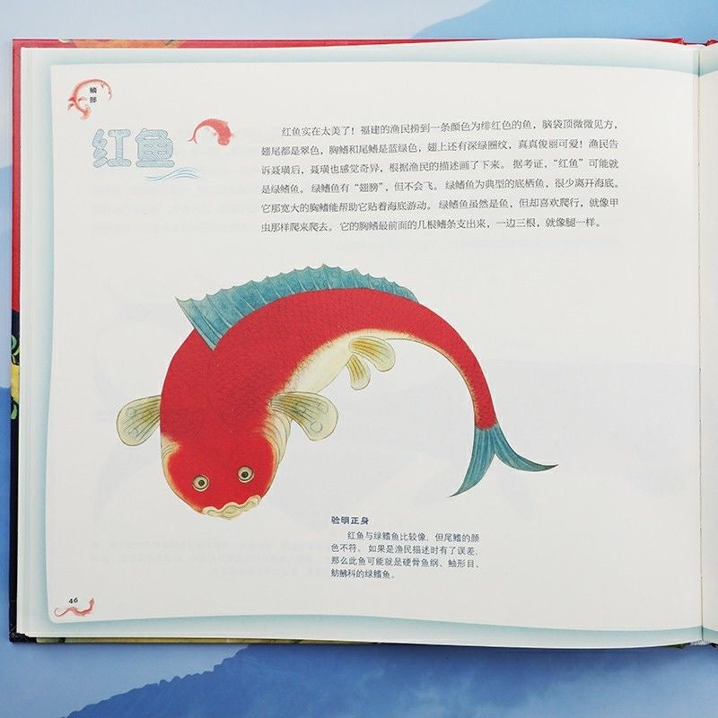 呀!海错图