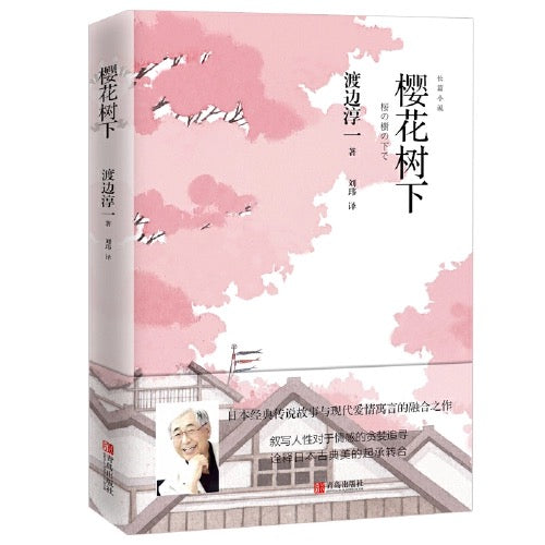 渡边淳一 小说集