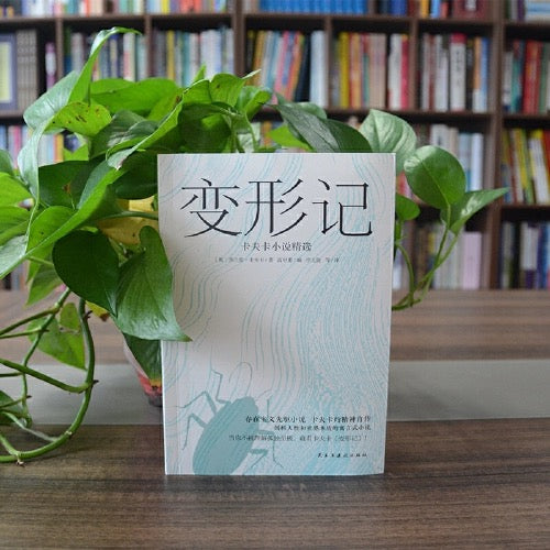 卡夫卡小说 变形记