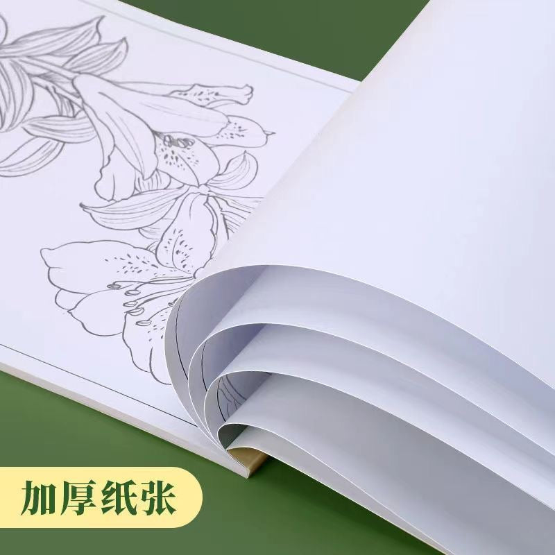 中国画白描 工笔画练习本