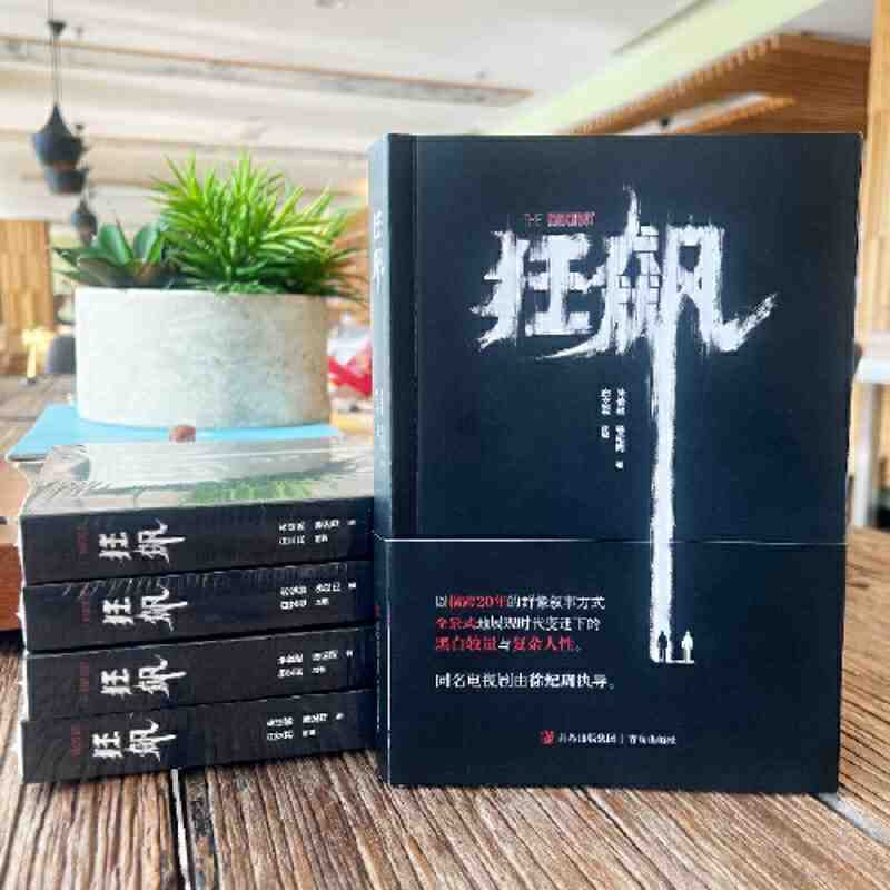 狂飙 原著小说