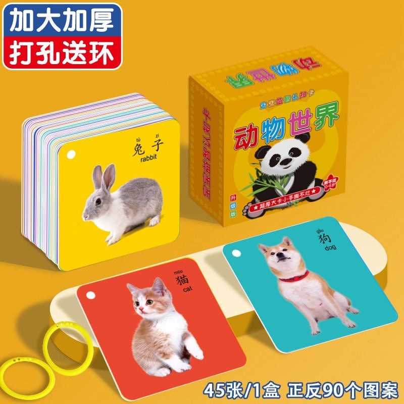 幼儿识字卡 双面45张