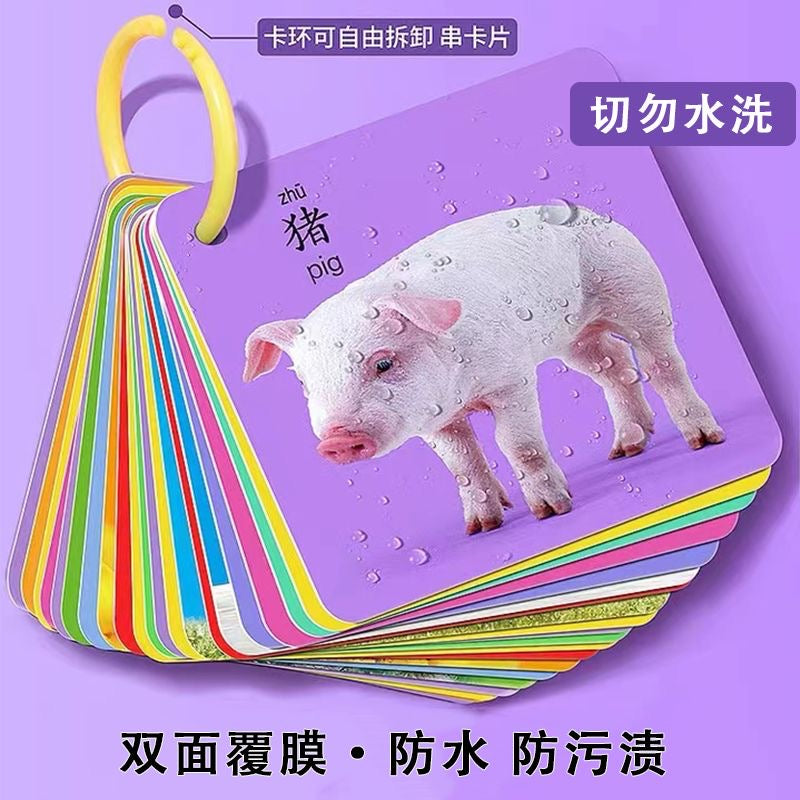 幼儿识字卡 双面45张
