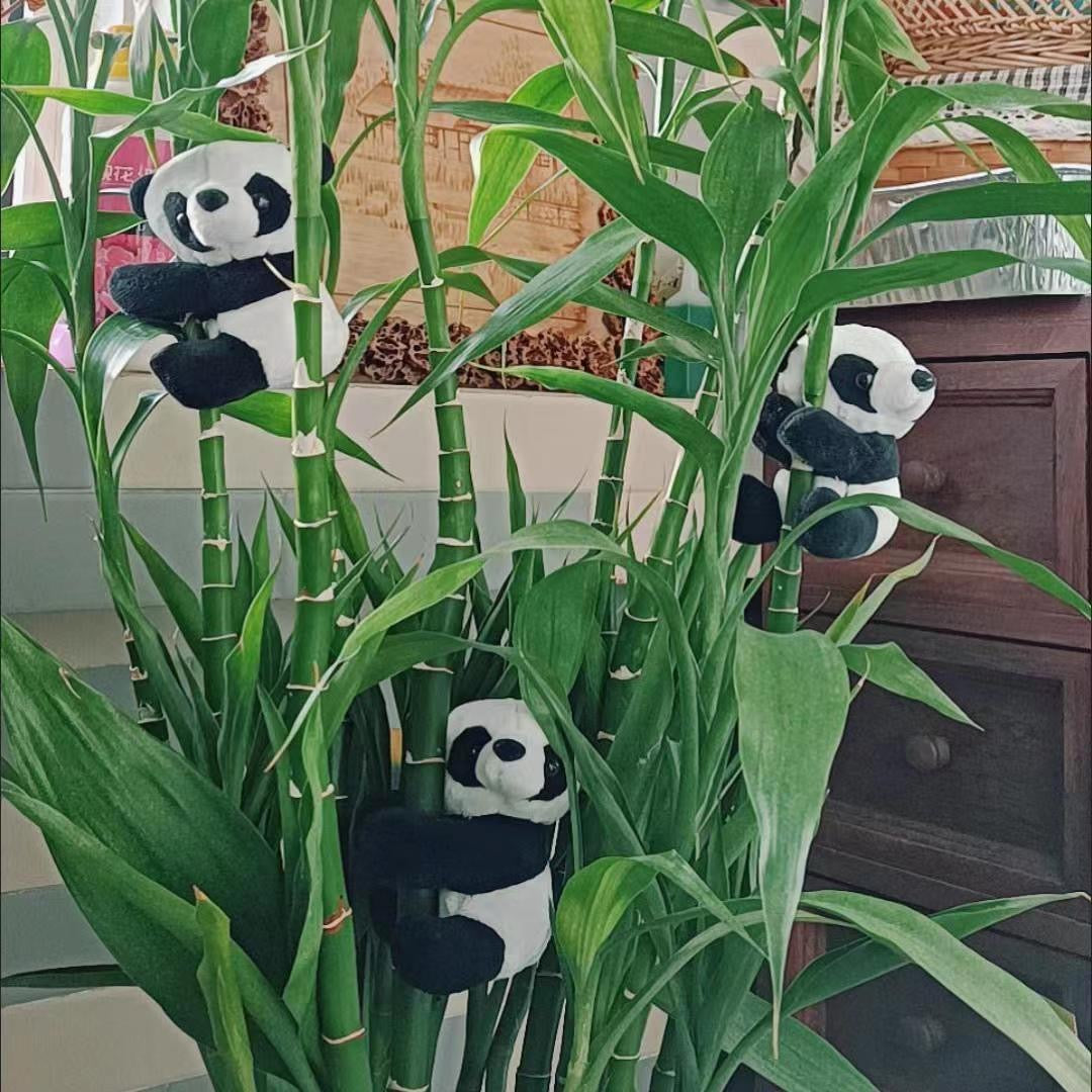 多功能熊猫夹