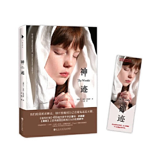 神迹(奥斯卡获奖影片《房间》小说原作者新作)