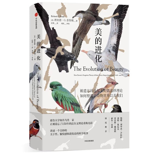 中信出版社 美的进化